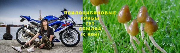 кокс Баксан