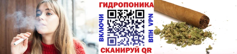 Купить закладки  Печоры  Бошки Шишки Ganja 